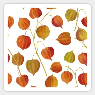 Physalis flowers watercolor seamless pattern. Golden berry plants. Cape gooseberry buds. Colorful autumn leaves structure Sticker